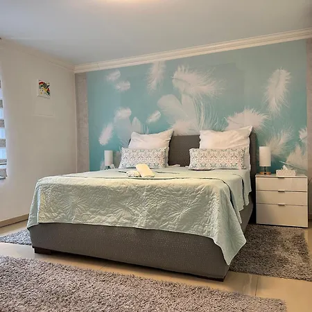 Mein Apartment, Garden, Terrasse, Klima, 6 Personen 아파트 프랑켄탈